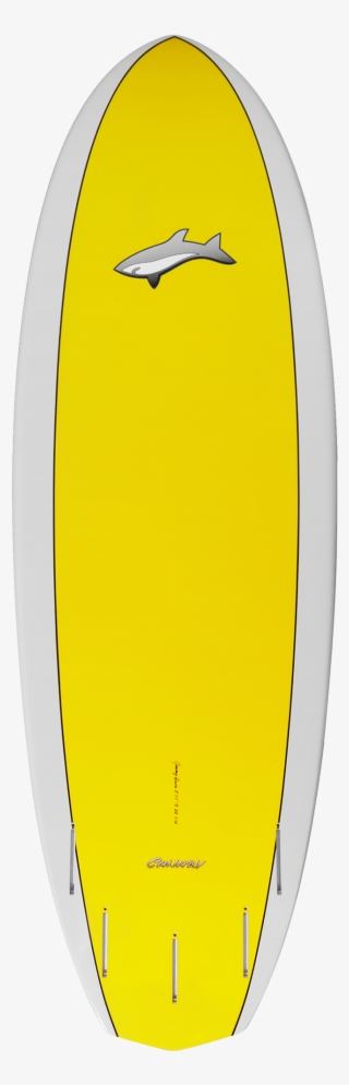 Canary Kite Surf - Surfboard
