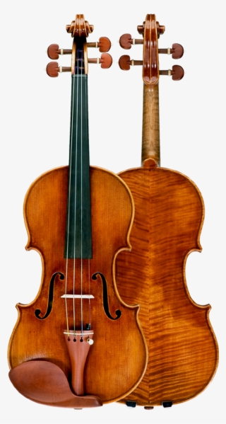 Ming Jiang Zhu A Viola