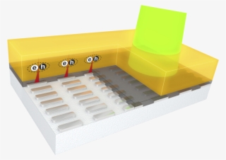 Plasmon Exciton Polaritons - Lego