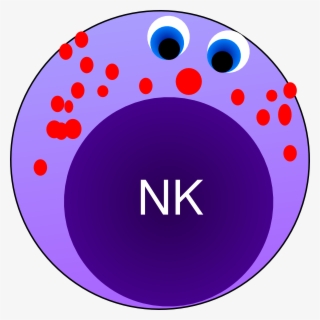 Nk Cell Clip Art - Natural Killer Cell Clipart