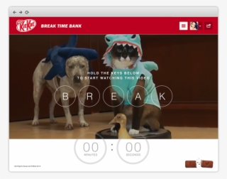 Timebanka - Cat On A Roomba