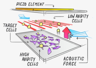 Z-movi Technology Explained - Diagram