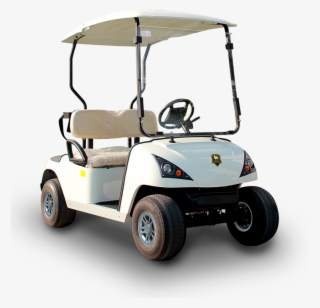 Newest Model Chinese Golf Carts Dg-c2 With Ce Certificate - Golf Cart