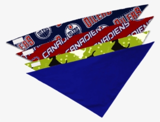 Pbd Pet Bandanas - Flag