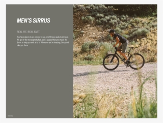 Sirrus 2019 - Mountain Bike
