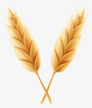 0, - Wheat