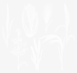 Hhd - Floral Design