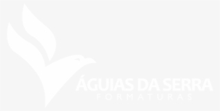 Image - Graphic Design