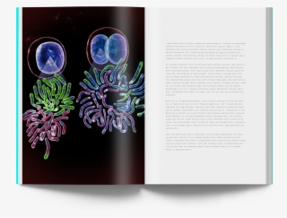 Chromosome Cover Art - Graphic Design