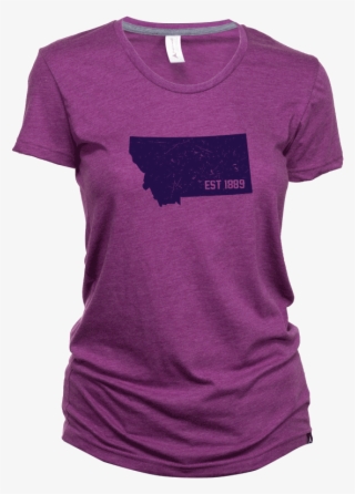 Aspinwall Est1889 Montana T Shirt Field Berry - Active Shirt