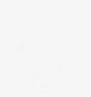 White Fbp Head - Bull