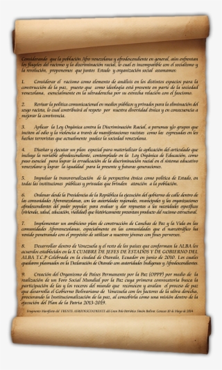 Manifiesto Afrodescendiente - Book