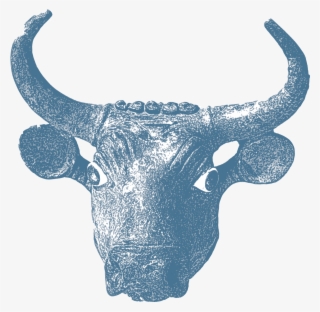 Image - Bull