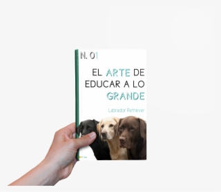 Colección De Libros - Companion Dog