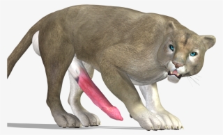 Cougar Png - Cougar