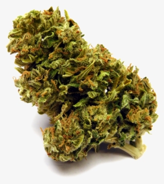 Skunk47 Nobg - Superglue Strain