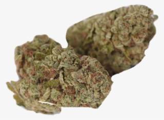 Boutique Cannabis - Igneous Rock