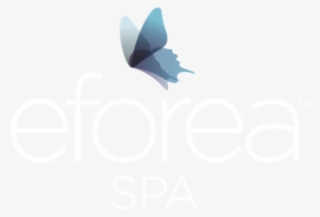 Hilton Queenstown Resort & Spa Eforea Spa At Hilton - Butterfly