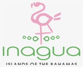 Inagua Salty Fest - Flamingo