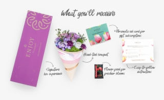 Shop Now - Gelato