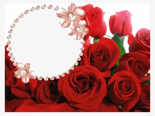 Marcos Para Fotos - Callaway Gardens