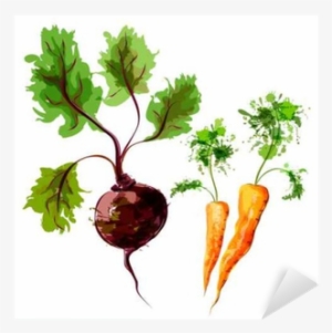 Set Of Vector Watercolor Vegetables - Vegetable
