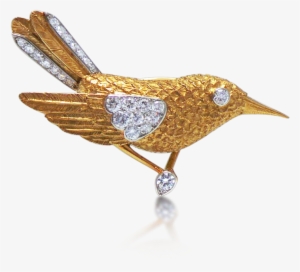 20140312 175742 - Bluebird