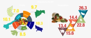 Top 5 Fruits & Vegetables Producing States - Complete Vegetable And Herb Collection Of More Than