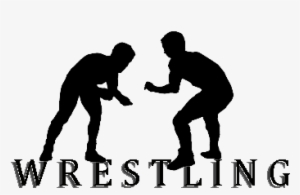 Professional Wrestling