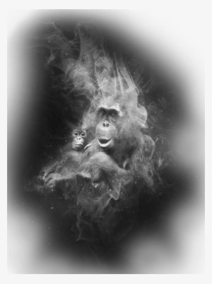 Upinsmoke3 - Grammar School