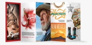 Warm Things Up On Lynx Cream White - White Paper