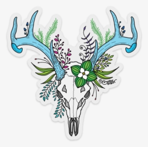 Sitka Black-tailed Deer Skull With Blue Antlers