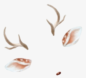 Deer Antlers Ears Doe Deerantlers Snapchat Filter Filte - Deer Snapchat Filter Png
