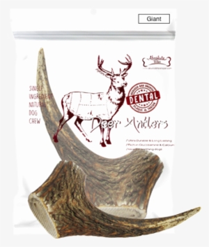 Absolute Bites Whole Deer Antlers Dental Chew - Ah Beng Pet Store