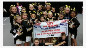 Pw Cheer Team