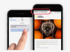 Tap To Return To The Previous App - Poster: Varma's A New Honeybee Emerges