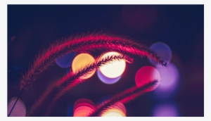 Score 50% - Night Light Bokeh