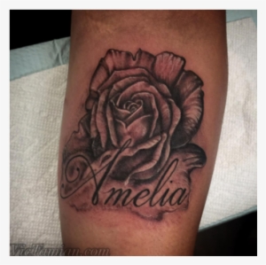 Vic Tamian - Cursive