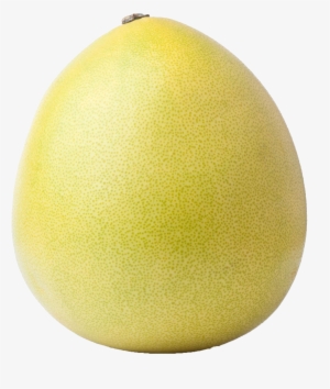 Grapefruit Pomelo Lemon Citrus Junos