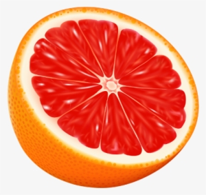 Blood Orange Vector