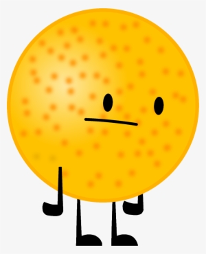 Grapefruit - Bfdi Grapefruit
