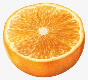 Grapefruit Clipart Half Orange