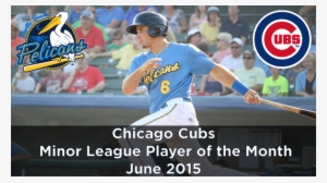 Second-year Pro Led Cubs Farmhands In Obp And Slugging - Chicago Cubs