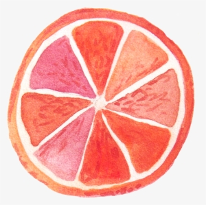 Red Painted Style Grapefruit Transparent - Brayden Studio Orange Beach Towel