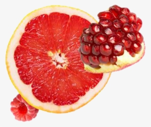 We Introduction - Shutterstock Fruits