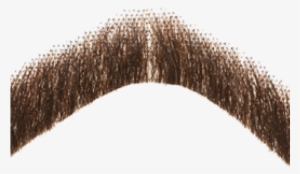 Moustache Png Transparent Images - Moustache Transparent Background