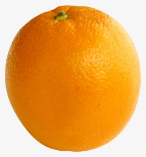 Orange Transparent Background