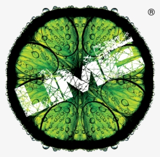 Lime - Hyatt Lime The Ultimate All Inclusive Carnival Fete