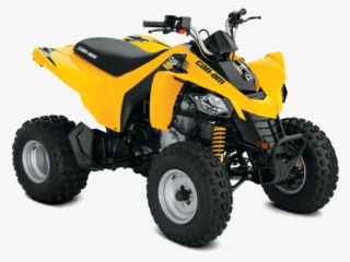 Prevnext - 2018 Can Am Ds 250