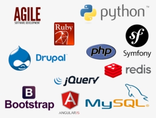 Agile Software Development